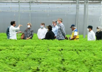 Ajak Dubes Tinjau Persemaian Rumpin, Presiden: Indonesia Serius Tangani Perubahan Iklim