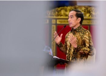 Presiden Jokowi Dorong Pertamina dan PLN Siapkan Transisi Energi