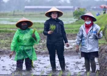 Puan Maharani Dorong Petani Melek Teknologi