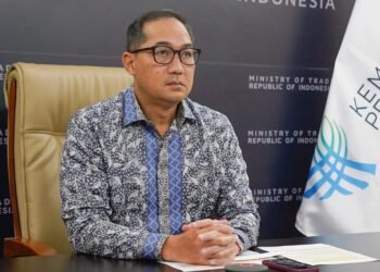 Jaga Stok dan Stabilitas Harga Minyak Goreng, Kemendag Terapkan Kebijakan DMO dan DPO