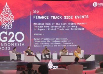 Diversifikasi Mata Uang Perkuat Stabilitas Perekonomian