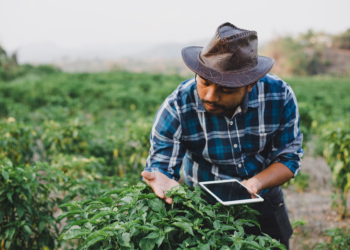 Pemerintah Alokasikan Rp13 Triliun Dana PEN Untuk Pembangunan Infrastruktur Digital