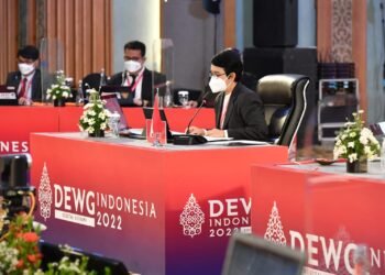 DEWG Dorong Kesepahaman Global Dalam Tata Kelola Data