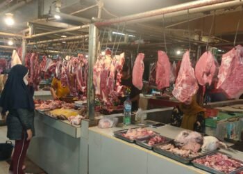 Daging di Pasar Tersedia Dengan Harga Normal