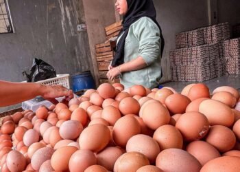 Harga Komoditas Aneka Telur di Pasar Serpong Naik Hingga 20%