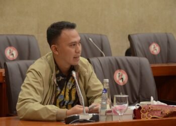 Husein Fadlulloh: Pemerintah Harus Pegang Kontrol Distribusi Minyak Goreng