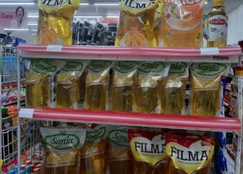 Soal BLT Migor, Intan: Belum Selesaikan Akar Permasalahan