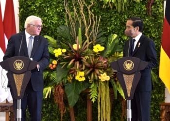 Presiden Jerman Apresiasi Transformasi Digital di Indonesia