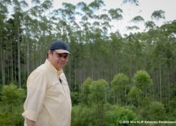 Pungutan Ekspor CPO Dicabut, Menko Airlangga: Semoga Harga TBS Petani Sawit Segera Naik