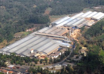 Laba Bersih DSNG Naik 123% Jadi Rp462,74 Miliar