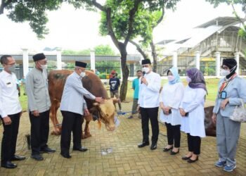 Pemotongan Hewan Kurban di Masjid Baiturrahman DPR