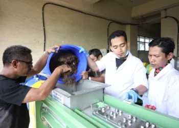 Balai Kemenperin Kembangkan Teknologi Alternatif Bahan Baku Kertas