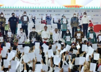 Presiden Jokowi Serahkan NIB Pelaku UMK Perseorangan