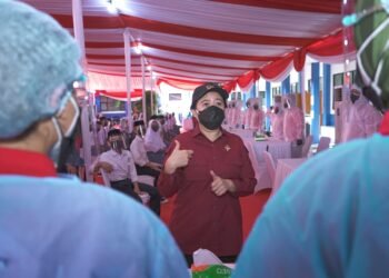 Pengamat: Puan Magnet Dan Tokoh Pemersatu PDI Perjuangan