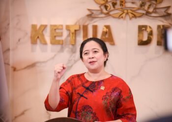 Puan Maharani Ajak Generasi Muda Berdikari Bangun Bangsa