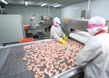 Penjualan Tumbuh 9,14%, PMMP Raih Laba Bersih Per Kuartal III Senilai USD8,58 Juta