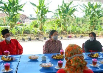 Soal Kedaulatan Pangan, Puan Minta Masalah Kelangkaan Pupuk Diatasi