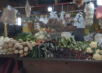 Penyerapan Pangan Lokal Perlu Dimaksimalkan Guna Jaga Ketersediaan Pangan Hadapi El Nino