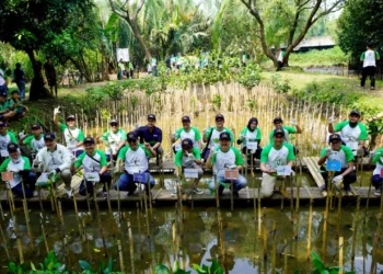 MAMI Tanam Mangrove untuk Memperingati Hari Bumi