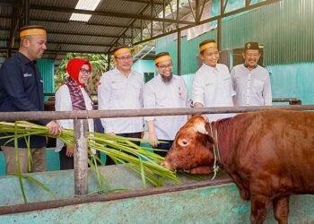 Desa Binaan, BSI Dukung Parangbanoa Angkat Potensi Peternakan Sapi Potong 