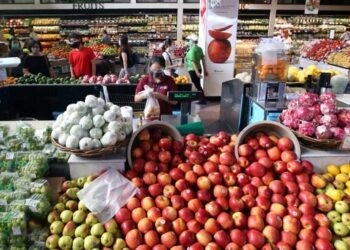 IPR Juni 2023 Tumbuh Positif Sebesar 8,08%