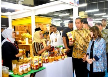 Jokowi: Hilirisasi Langkah Penting Menuju Indonesia Maju 2045