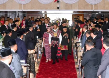 Kepala Negara: Investasi Hilirisasi Nikel Tumbuh Pesat