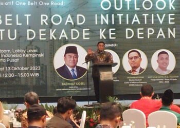 Proyek OBOR dan UU Ciptakerja Bisa Memaksimalkan Investor China