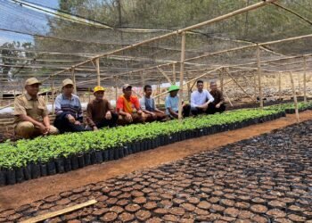 Keputusan Kraton Tidak Salah: Perkembangan Ekonomi Sirkular di Gunungkidul Menjanjikan