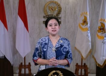 Ketua DPR RI Puan Maharani/Foto: Dok DPR RI