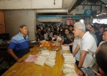 Ini Jawaban Ganjar Soal Pengungsi Rohingya