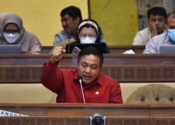 Anggota Komisi VI DPR I Nyoman Parta