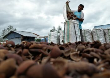 Indo Oil Perkasa Dirikan Perusahaan Patungan