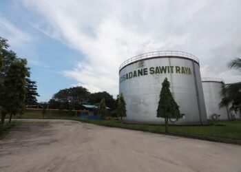 Cisadane Sawit Raya Raih Fasilitas Kredit Rp390 Miliar