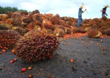 2024, PTPS Targetkan Pertumbuhan Laba Bersih Tembus 40%
