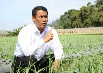 Tambahan Pupuk Subsidi Rp28 Triliun, Petani Optimis Capai Swasembada