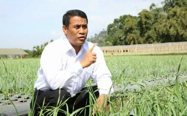 Tambahan Pupuk Subsidi Rp28 Triliun, Petani Optimis Capai Swasembada