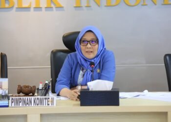 Wakil Ketua Komite II DPD RI Aji Mirni Mawarni/Foto: Dok DPD RI