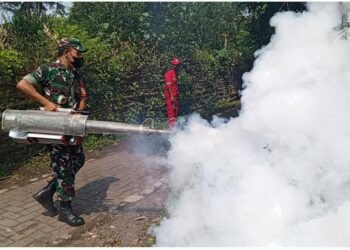 Dinkes Kabupaten Lumajang Fogging di Desa Boreng
