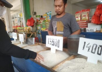 Impor Beras Makin Tinggi, Ansy Lema Soroti Soal Kedaulatan Pangan