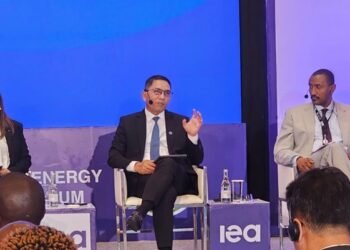 Satu Dekade Terakhir, Rerata Intensitas Energi Indonesia Capai 3%