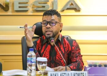 Krusial Jelang Pilkada, Filep Wafapma Defisinikan OAP Dari Berbagai Persepktif