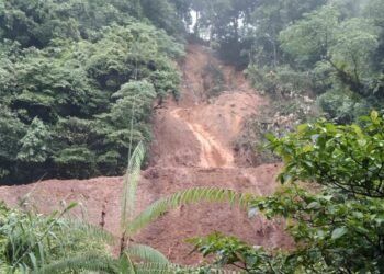Dua Warga Dilaporkan Hilang Akibat Longsor di Kota Padang
