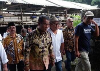 Kurangi Impor Susu dan Daging Beku Rp 37 Triliun per Tahun, Ini Kiat Mentan Amran Sulaiman