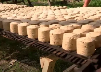 Indonesia Kuasai Pasar Ekspor Gambir Dunia