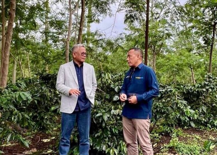 Direktur Utama Holding Perkebunan PTPN III (Persero) Mohammad Abdul Ghani (kiri) bersama Dirut PalmCo Jatmiko Santosa saat di kebun kopi JCE, Bondowoso Jawa Timur. Sampai September tahun ini, JCE telah memproduksi 821 ton kopi arabika dan 32 persennya diserap pasar manca negara mulai dari Amerika hingga Eropa.