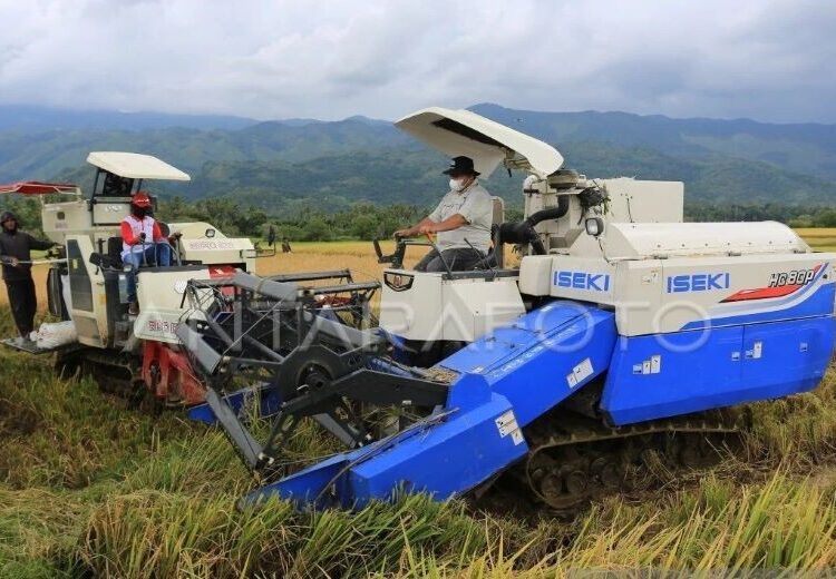 Hilirisasi Pertanian Jadi Terobosan Signifikan dalam Transformasi Perdagangan