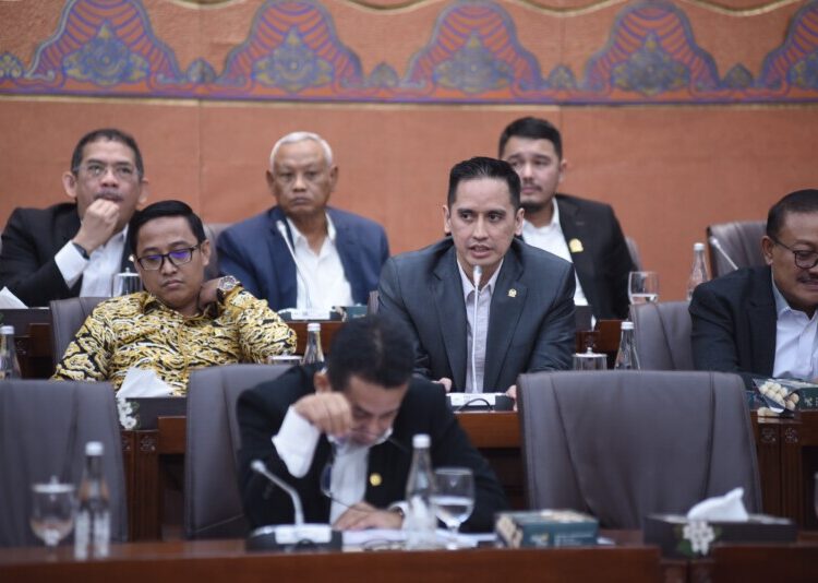 Anggota Komisi VI DPR Firnando Hadityo Ganinduto dalam rapat dengan Dirut BRI Sunarso, Dirut BTN Nixon LP Napitupulu, Dirut Bank Madiri Darmawan Junaidi dan Dirut Bank BNI, Royke Tumilaar di Jakarta, Rabu (13/11/2024).