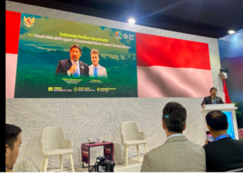 Tanpa Food Estate Baru, Indonesia Sudah Lampaui Kuota Deforestasi