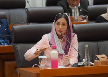 Novita Hardini: Perlu Akses ke Venture Capital untuk Pengembangan UMKM